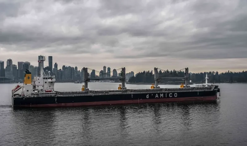 CIELO DI TAMPA Bulk Carrier IMO 9707754