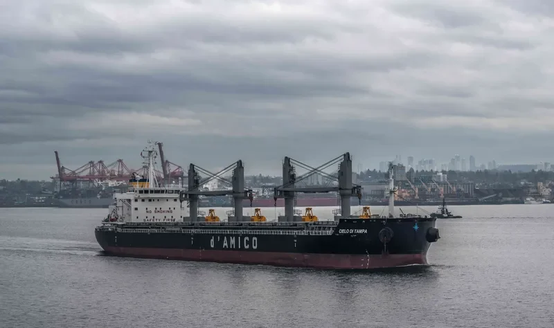 CIELO DI TAMPA Bulk Carrier IMO 9707754 photo 2