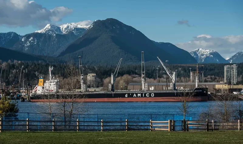 CIELO DI TAMPA Bulk Carrier IMO 9707754 photo 3