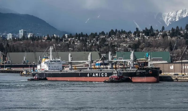 CIELO DI TAMPA Bulk Carrier IMO 9707754 photo 4