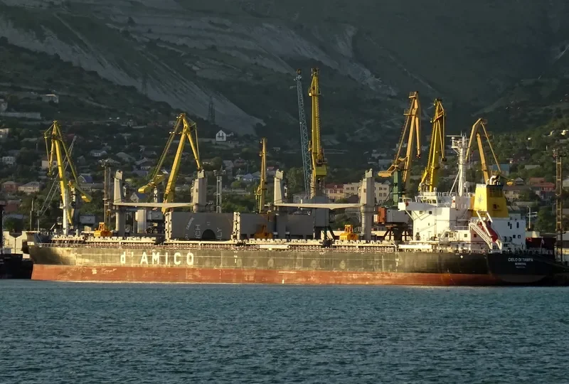 CIELO DI TAMPA Bulk Carrier IMO 9707754 photo 5