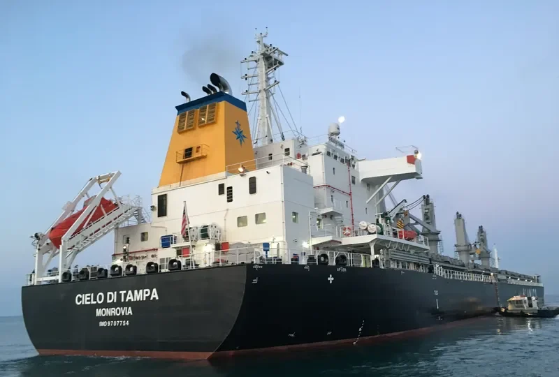 CIELO DI TAMPA Bulk Carrier IMO 9707754 photo 7