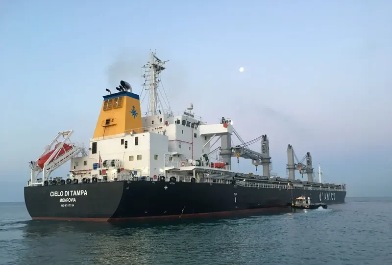 CIELO DI TAMPA Bulk Carrier IMO 9707754 photo 8