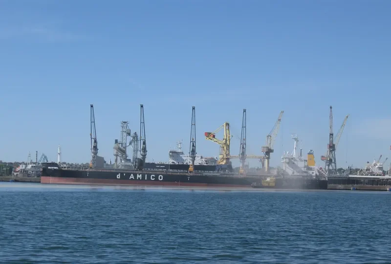 CIELO DI TAMPA Bulk Carrier IMO 9707754 photo 9