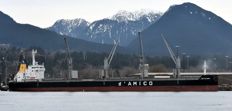 CIELO DI TAMPA Bulk Carrier IMO 9707754 photo 10
