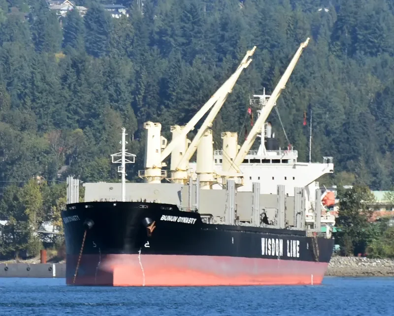 BUNUN DYNASTY Bulk Carrier IMO 9707821