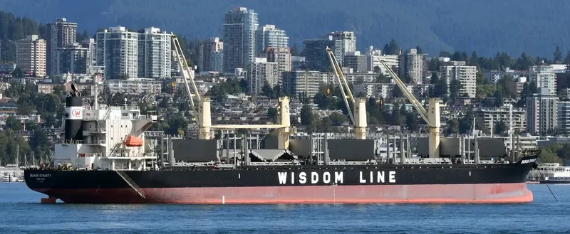 BUNUN DYNASTY Bulk Carrier IMO 9707821 photo 2