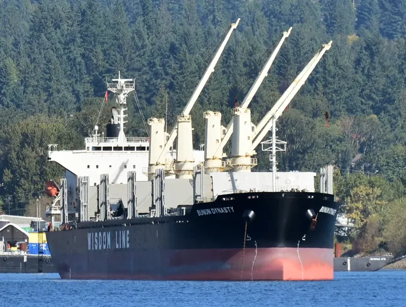 BUNUN DYNASTY Bulk Carrier IMO 9707821 photo 4