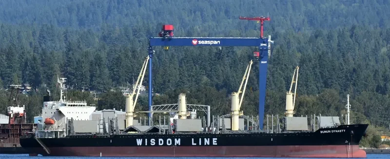 BUNUN DYNASTY Bulk Carrier IMO 9707821 photo 5