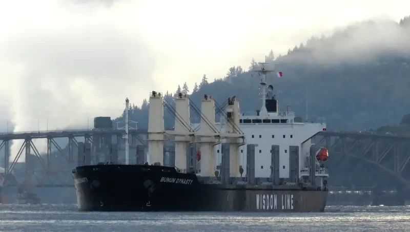 BUNUN DYNASTY Bulk Carrier IMO 9707821 photo 7