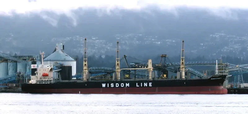 BUNUN DYNASTY Bulk Carrier IMO 9707821 photo 8