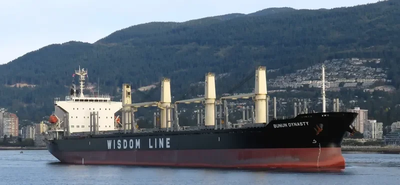 BUNUN DYNASTY Bulk Carrier IMO 9707821 photo 9
