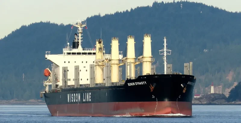 BUNUN DYNASTY Bulk Carrier IMO 9707821 photo 10