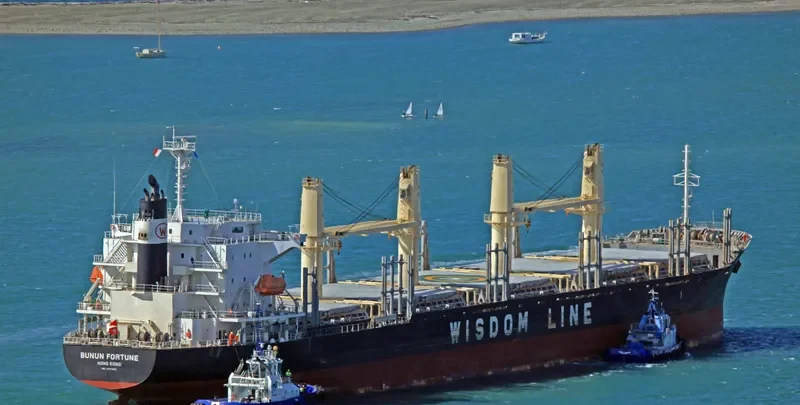 BUNUN FORTUNE Bulk Carrier IMO 9707833