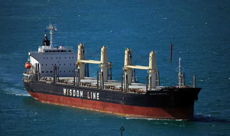 BUNUN FORTUNE Bulk Carrier IMO 9707833 photo 4