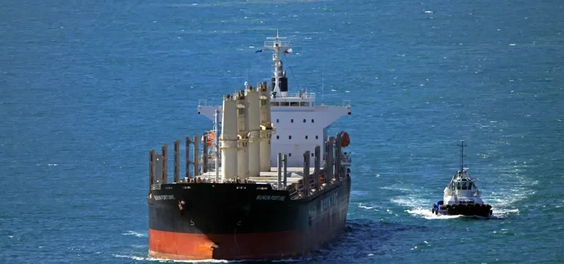 BUNUN FORTUNE Bulk Carrier IMO 9707833 photo 5