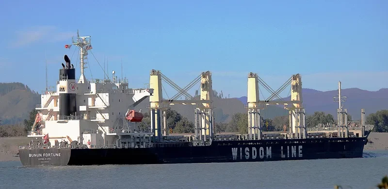 BUNUN FORTUNE Bulk Carrier IMO 9707833 photo 6