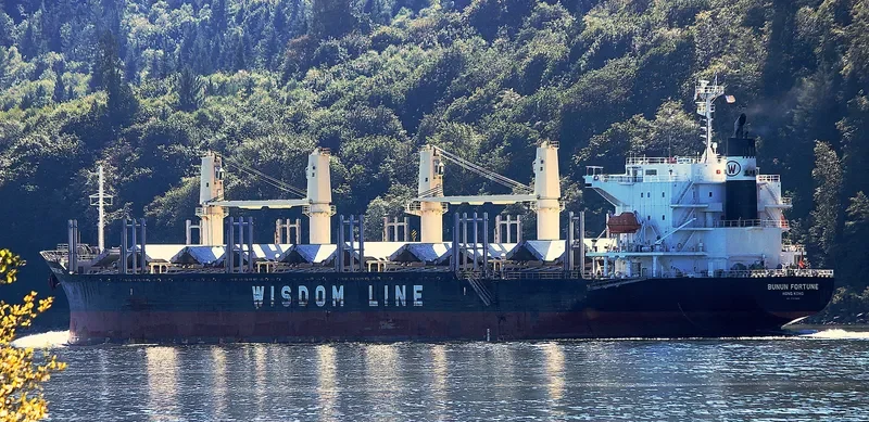BUNUN FORTUNE Bulk Carrier IMO 9707833 photo 7