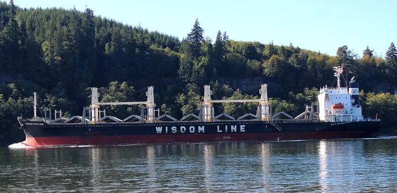 BUNUN FORTUNE Bulk Carrier IMO 9707833 photo 8