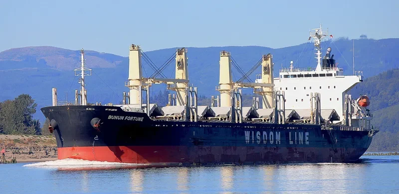 BUNUN FORTUNE Bulk Carrier IMO 9707833 photo 10