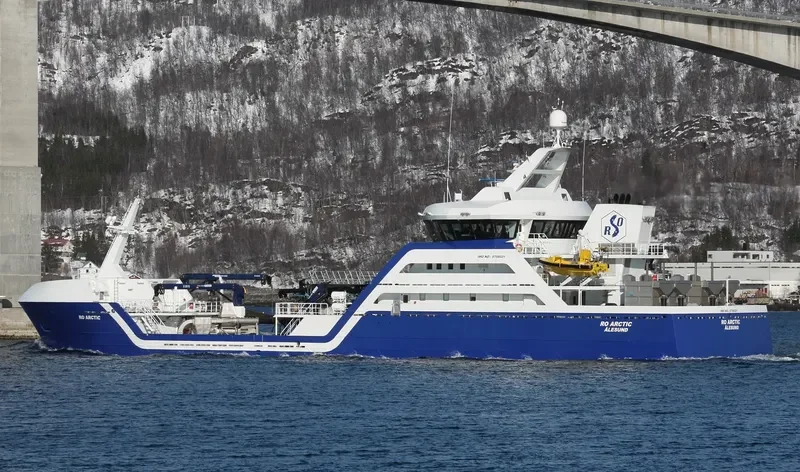 RO ARCTIC General Cargo IMO 9708021 photo 4