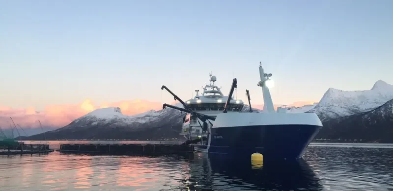 RO ARCTIC General Cargo IMO 9708021 photo 8