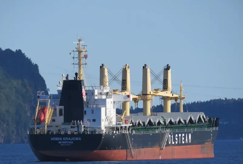 ARMIA KRAJOWA Bulk Carrier IMO 9708033 photo 8