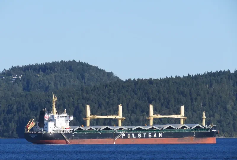 ARMIA KRAJOWA Bulk Carrier IMO 9708033 photo 9