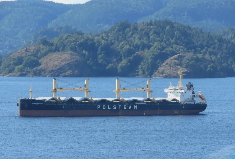 ARMIA KRAJOWA Bulk Carrier IMO 9708033 photo 10