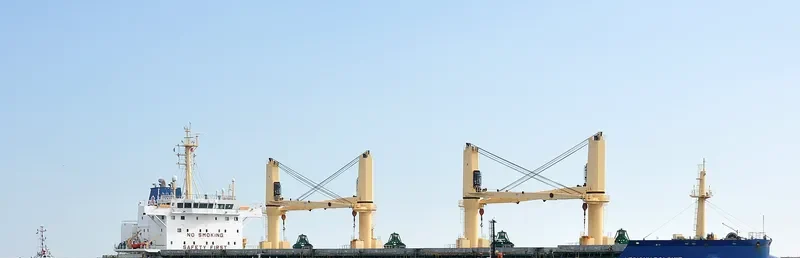 LEGIONY POLSKIE Bulk Carrier IMO 9708045 photo 8