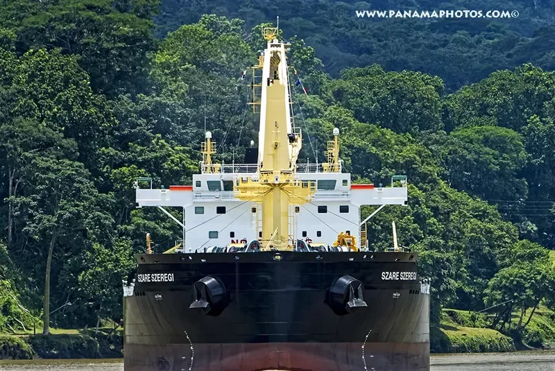 SZARE SZEREGI Bulk Carrier IMO 9708057 photo 3