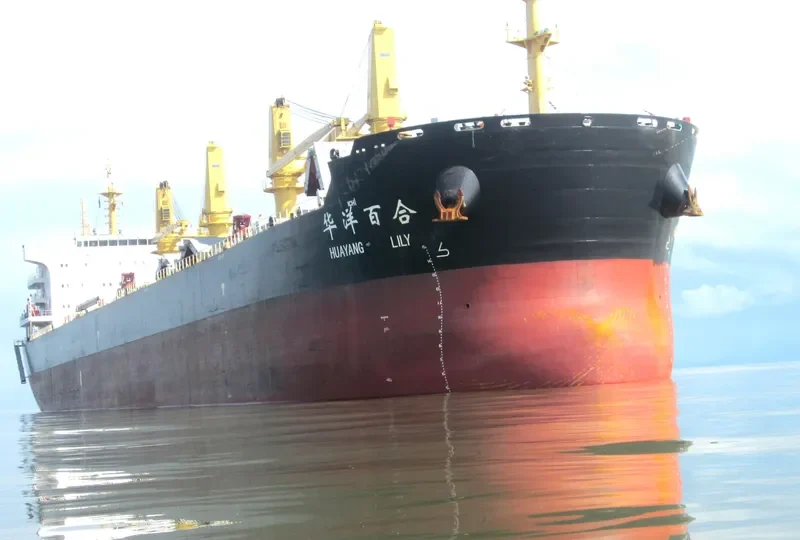 HUAYANG LILY Bulk Carrier IMO 9708174