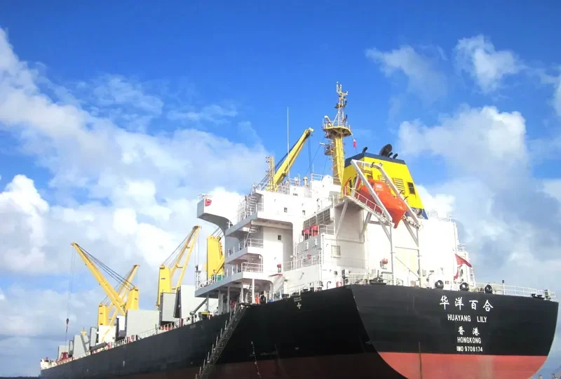 HUAYANG LILY Bulk Carrier IMO 9708174 photo 3