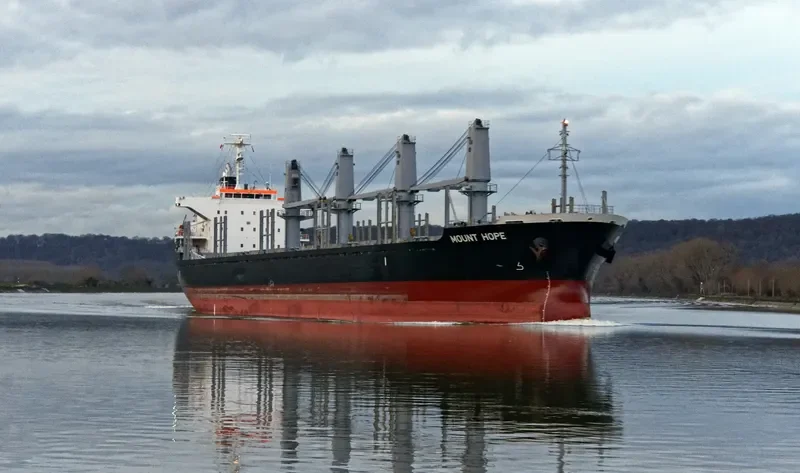 STELLAR ALAZANI Bulk Carrier IMO 9708265