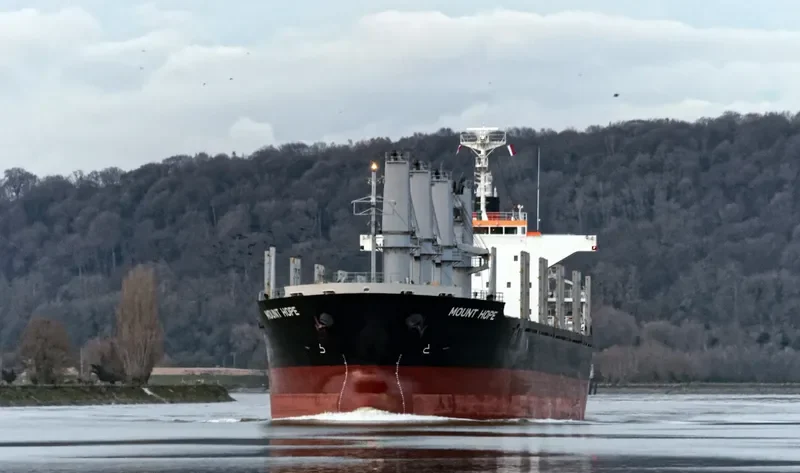 STELLAR ALAZANI Bulk Carrier IMO 9708265 photo 2