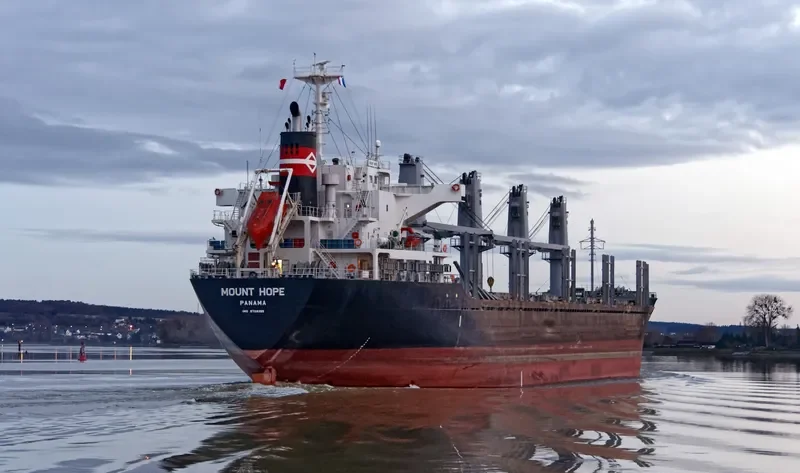 STELLAR ALAZANI Bulk Carrier IMO 9708265 photo 3