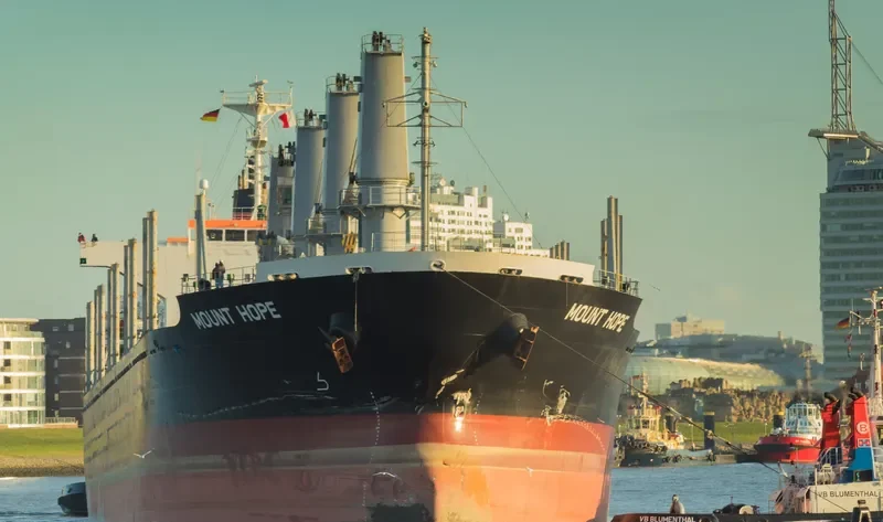 STELLAR ALAZANI Bulk Carrier IMO 9708265 photo 5