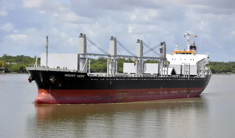 STELLAR ALAZANI Bulk Carrier IMO 9708265 photo 7