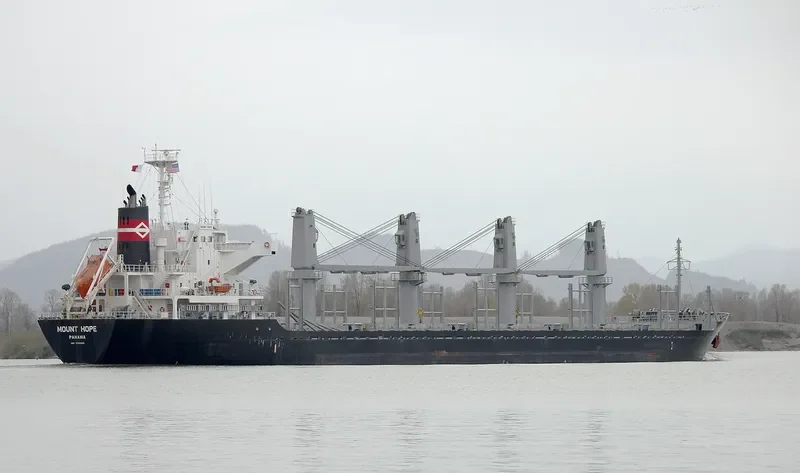 STELLAR ALAZANI Bulk Carrier IMO 9708265 photo 9
