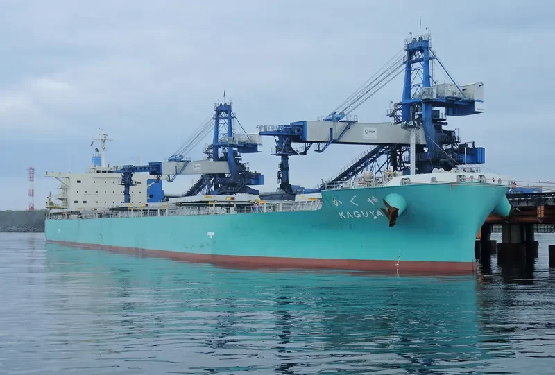 KAGUYA Bulk Carrier IMO 9708332 photo 5