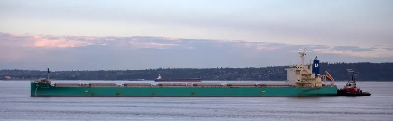 KAGUYA Bulk Carrier IMO 9708332 photo 6