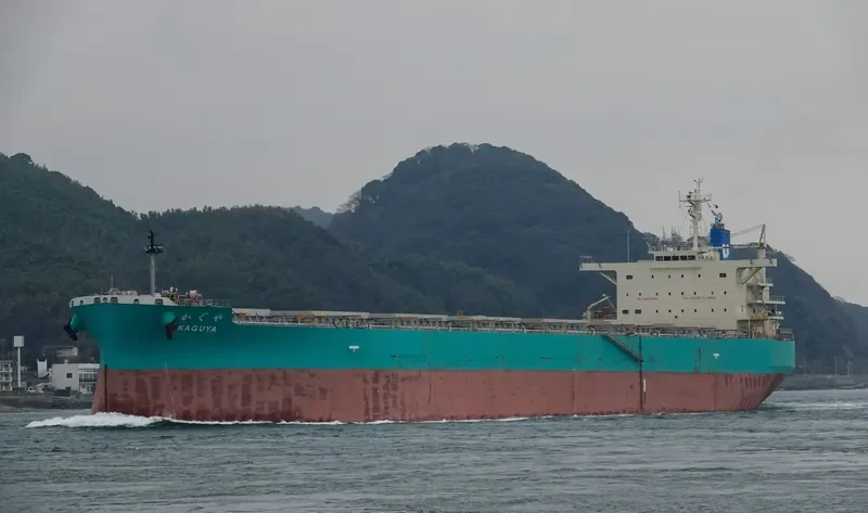 KAGUYA Bulk Carrier IMO 9708332 photo 8