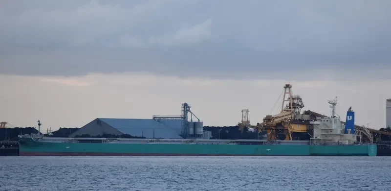 KAGUYA Bulk Carrier IMO 9708332 photo 10
