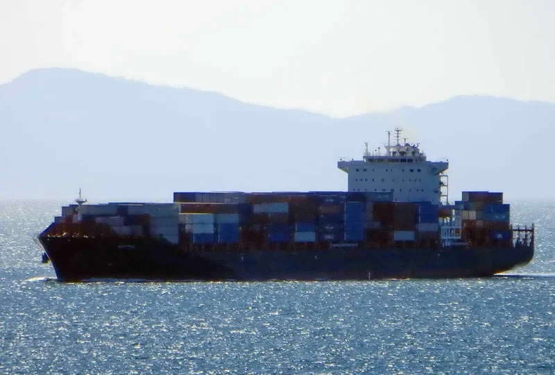 WIKING Container Ship IMO 9708382 photo 3