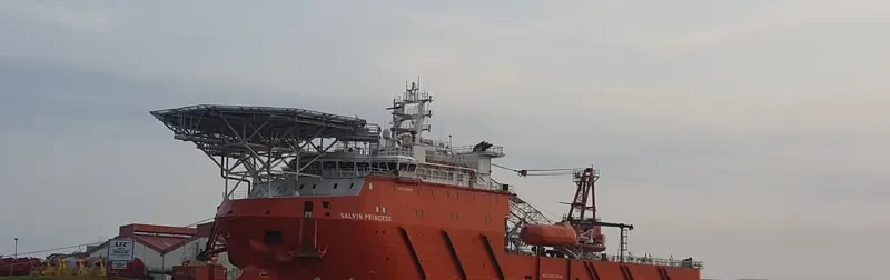 SALVIN PRINCESS Offshore Vessel IMO 9708409 photo 2