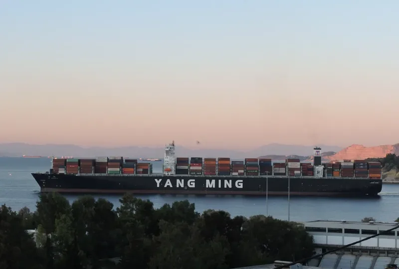 YM WREATH Container Ship IMO 9708473 photo 2