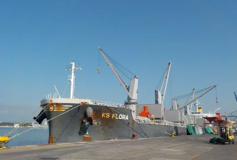 FLORA K Bulk Carrier IMO 9708538