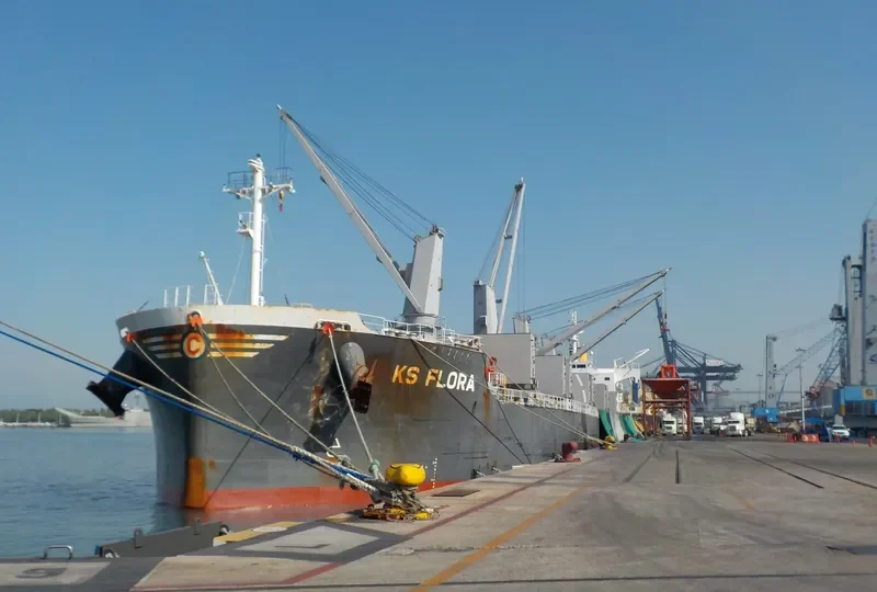 FLORA K Bulk Carrier IMO 9708538 photo 3