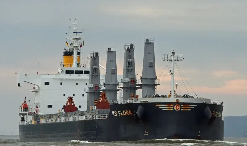 FLORA K Bulk Carrier IMO 9708538 photo 6