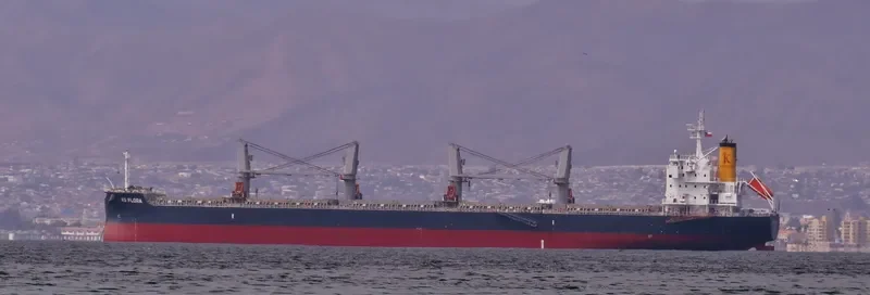 FLORA K Bulk Carrier IMO 9708538 photo 7